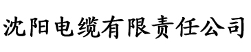 91抖音成长人版黄色安装电缆厂logo